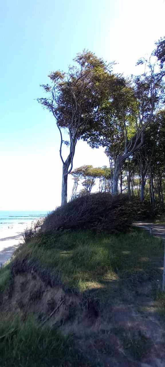 Familienurlaub Mit Hund An Der Ostsee Admannshagen-Bargeshagen Dış mekan fotoğraf