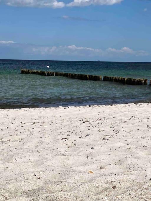 Familienurlaub Mit Hund An Der Ostsee Admannshagen-Bargeshagen Dış mekan fotoğraf