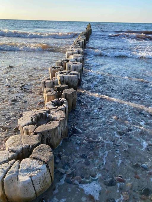 Familienurlaub Mit Hund An Der Ostsee Admannshagen-Bargeshagen Dış mekan fotoğraf